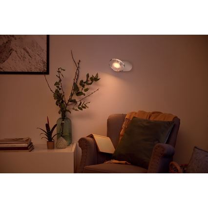 Philips 50441/11/P0 - LED reflektor MYLIVING GLISKOMPLETTE 1xLED/4,5W/230V