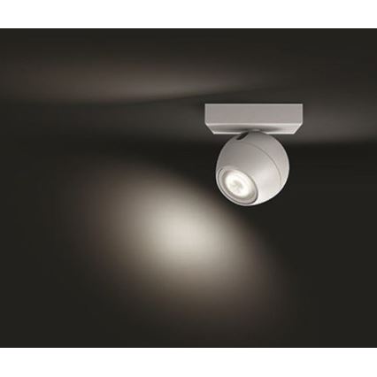 Philips - LED Zatemnitveni reflektor Hue BUCKRAM 1xGU10/5W/230V + Daljinski upravljalnik