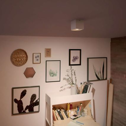 Philips - zatemnljivo LED točkovno svetilo LED/4,5W/230V