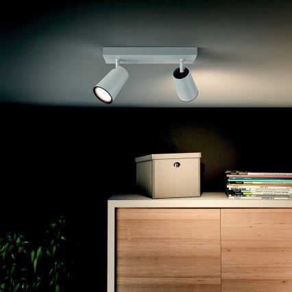 Philips 50572/31/PN - Reflektor MYLIVING PAISLEY 2xGU10/10W/230V
