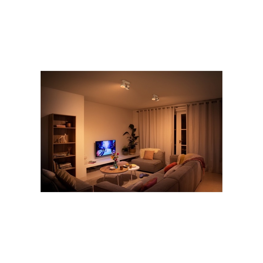 Philips 50602/31/P0 - LED Reflektor BUKKO 2xLED/4,5W/230V