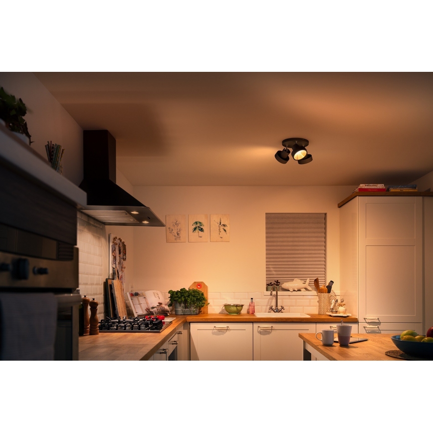 Philips 50603/30/P0 - LED Zatemnitveni reflektor BUKKO 3xLED/4,3W/230V