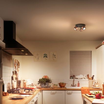 Philips 50653/05/P0 - LED Reflektor FERANO 3xLED/4,3W/230V