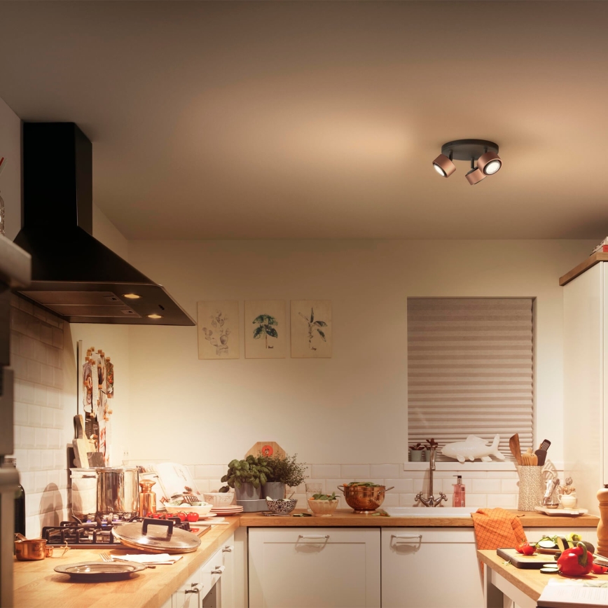 Philips 50653/05/P0 - LED Reflektor FERANO 3xLED/4,3W/230V
