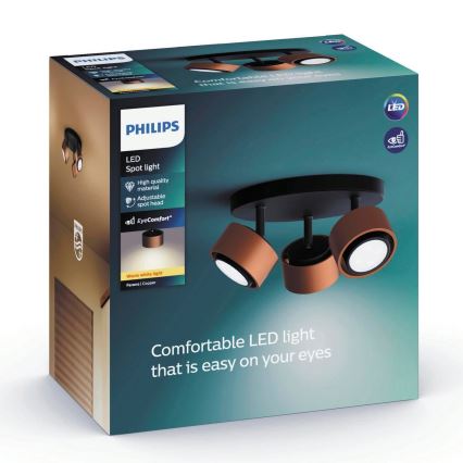 Philips 50653/05/P0 - LED Reflektor FERANO 3xLED/4,3W/230V
