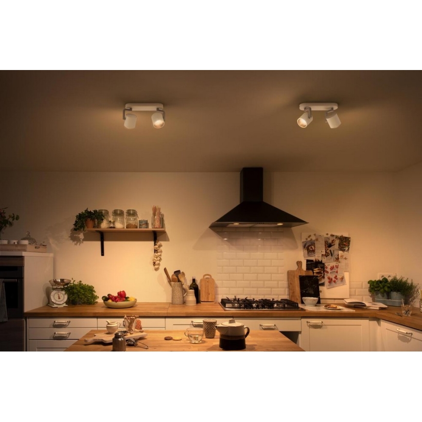 Philips - LED Zatemnitveni reflektor 2xLED/4.5W/230V