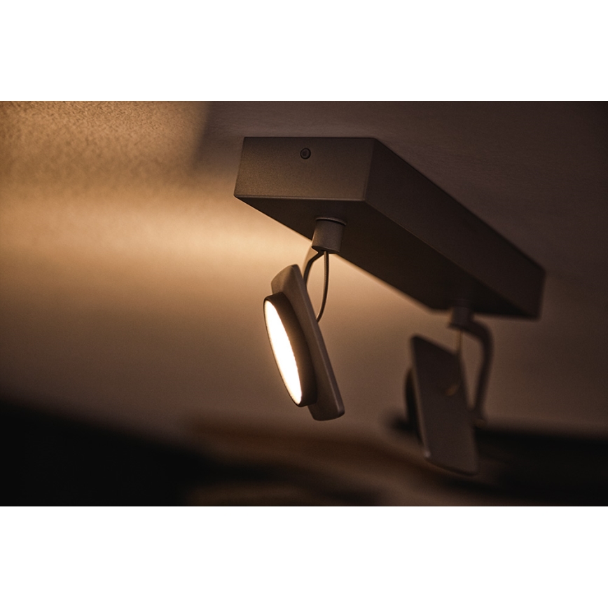 Philips 53192/48/P0 - LED Reflektor MILLENNIUM 2xLED/4,5W/230V
