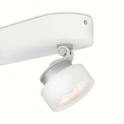 Philips 53272/31/16 - LED Reflektor RIMUS 2xLED/3W/230V