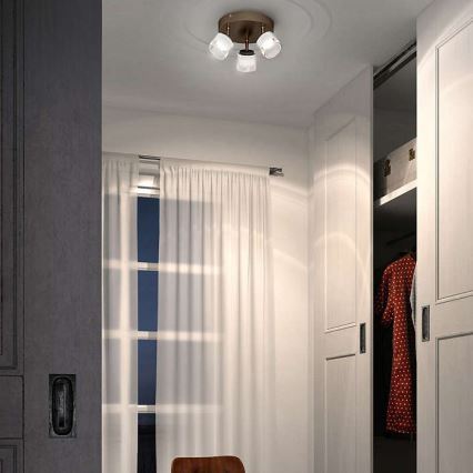 Philips - LED Reflektor 3xLED/4W/230V