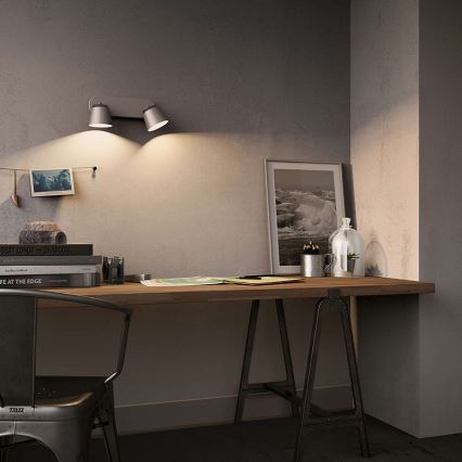 Philips 53342/31/16 - LED reflektor DENDER 2xLED/4W/230V
