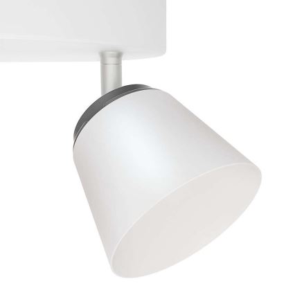 Philips 53344/31/16 - LED reflektor DENDER 4xLED/4W/230V