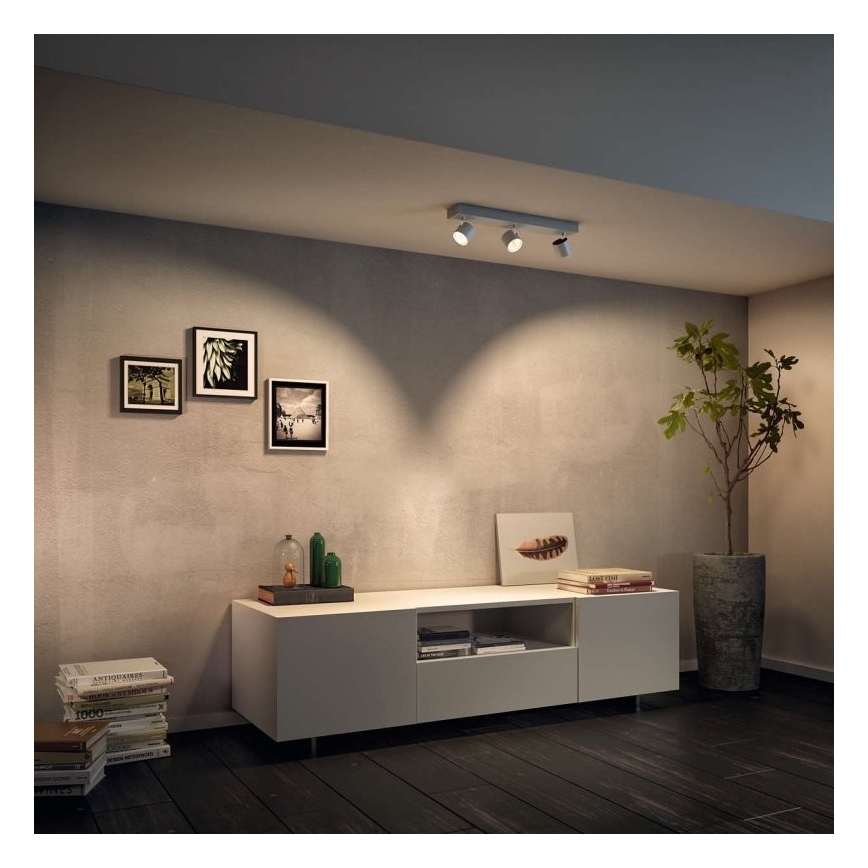 Philips 56243/31/P0 - LED Zatemnitveni reflektor STAR 3xLED/4,5W/230V