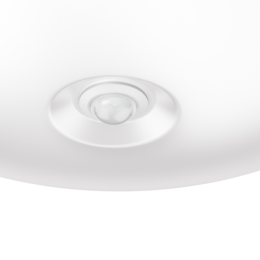 Philips 62234/31/P0 - LED senzorska razsvetljava MYLIVING MAUVE PIR 1xLED/16W/230V