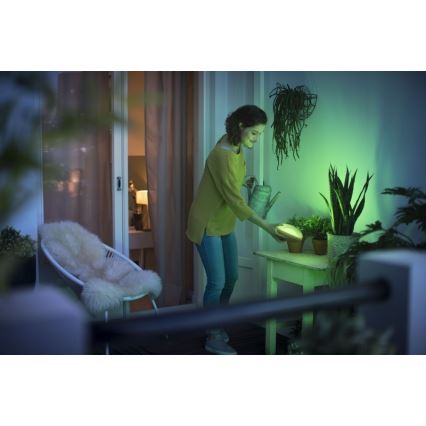 Philips 70104/31/P0 - LED RGB Zatemnitvena prenosna svetilka CAMELLIA LED/3W/5V