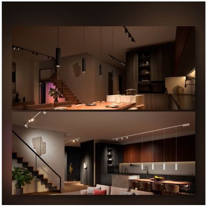 Philips - KOMPLET 3x LED RGB zatemnjevalen viseči lestenec na kablu za tirni sistem Hue PERIFO LED RGB/15,6W/230V 2000-6500K