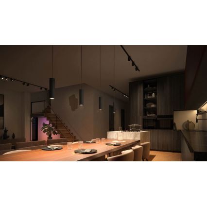 Philips - Komplet 3 kosov LED RGBW zatemljivih visečih svetilk na kablu za tirni sistem Hue PERIFO LED/15,6W/230V 2000-6500K