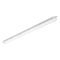 Philips - LED industrijsko svetilo CORELINE LED/37,5W/230V 150 cm IP66