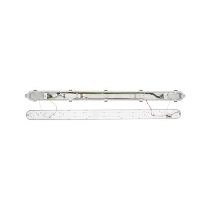 Philips - LED industrijsko svetilo CORELINE LED/37,5W/230V 150 cm IP66