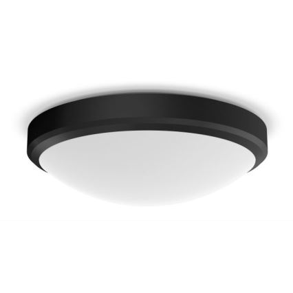 Philips - LED Kopalniška stropna svetilka LED/17W/230V IP44