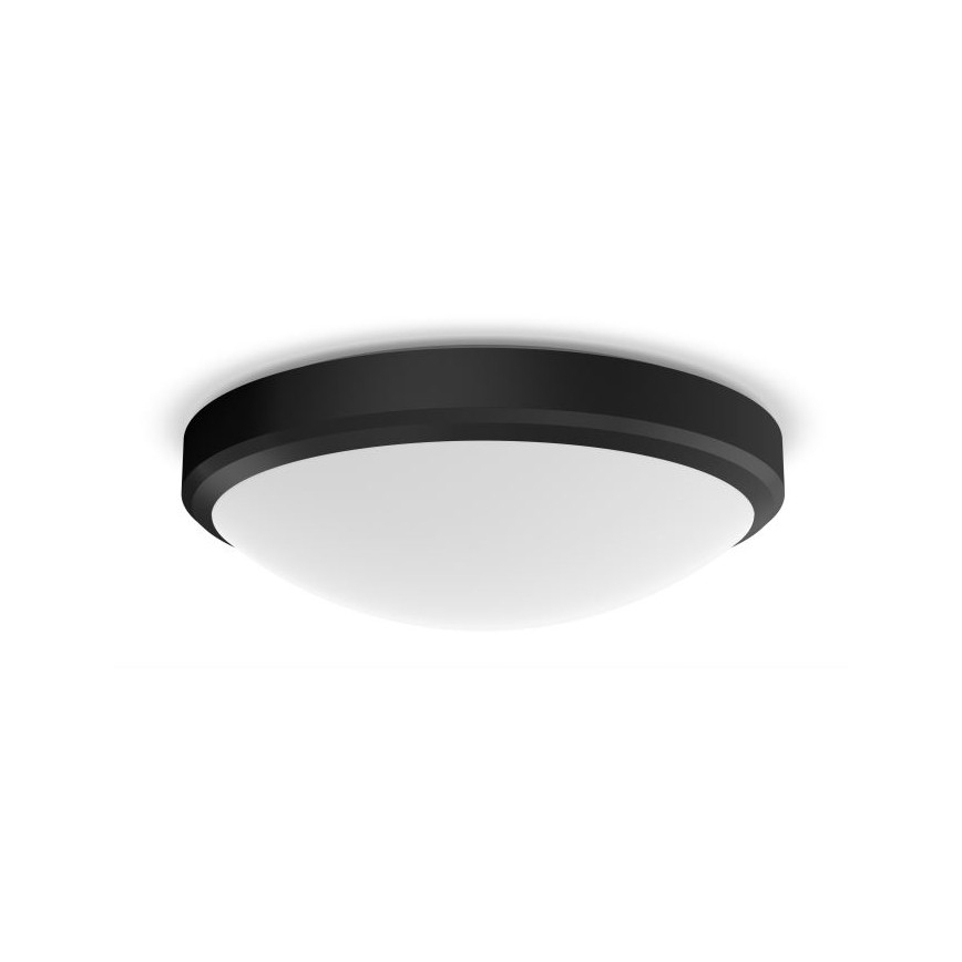 Philips - LED Kopalniška stropna svetilka LED/17W/230V IP44