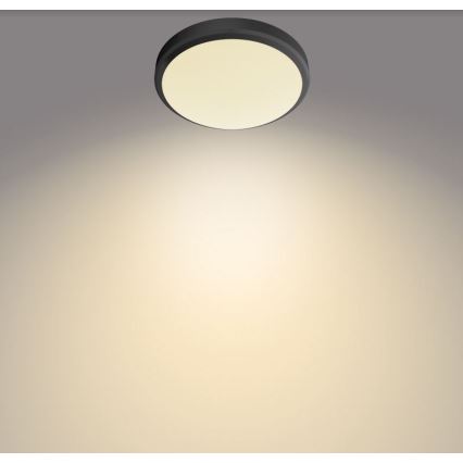 Philips - LED Kopalniška stropna svetilka DORIS LED/6W/230V IP44