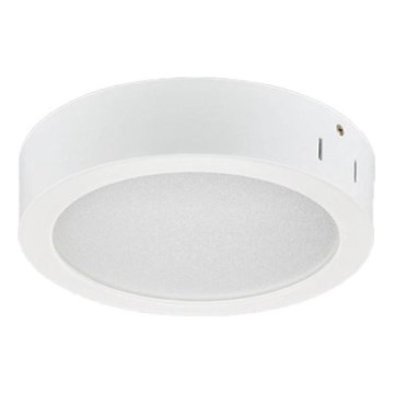 Philips - LED Kopalniška stropna svetilka LED/11W/230V IP44 4000K