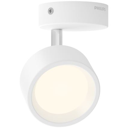 Philips - LED Reflektor LED/5,5W/230V bela