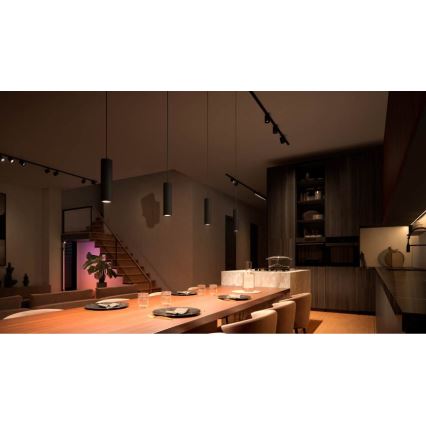 Philips - LED RGB viseča svetilka na kablu z možnostjo zatemnjevanja za tirni sistem Hue PERIFO LED RGB/5,2W/24V 2000-6500K