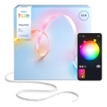 Philips - LED RGBW zatemljiv trak Hue ESSENTIAL White And Color Ambiance 10m LED/27,2W/230V 2200-6500K