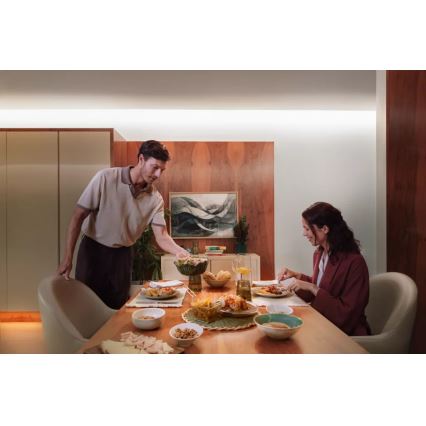 Philips - LED RGBW zatemljiv trak Hue FLUX 3+2m LED/48,5W/230V 2200-6500K