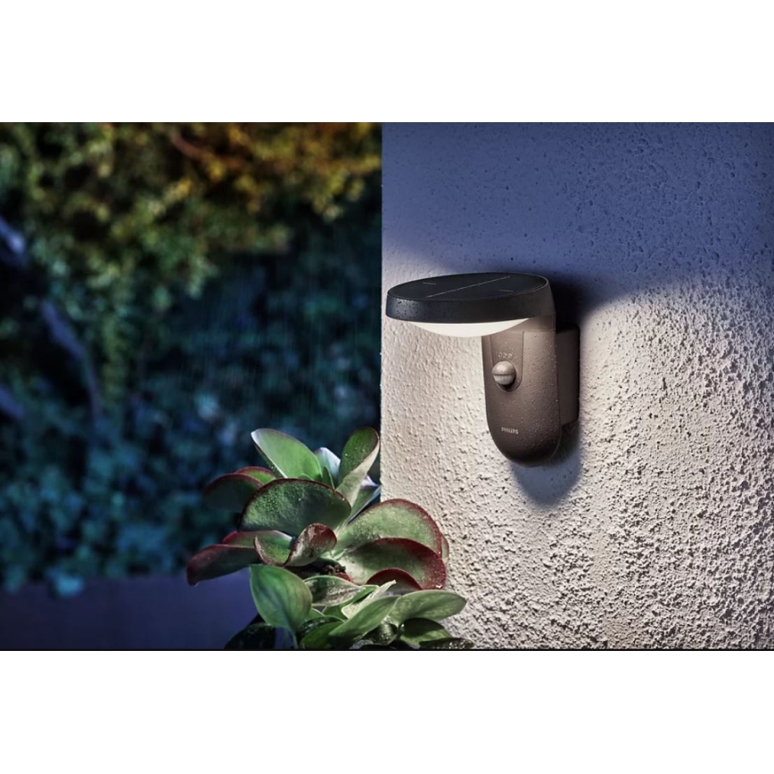 Philips - LED Solarna stenska svetilka s senzorjem LED/1,2W/4V 1800 mAh 4000K IP44