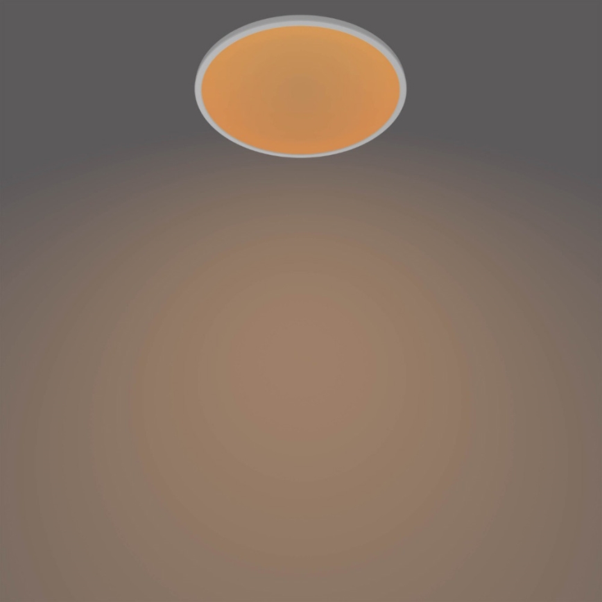 Philips - LED stropna svetilka CLEAR LED/18W/230V 2700K z možnostjo zatemnitve