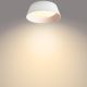 Philips - LED Stropna svetilka LED/14W/230V bela
