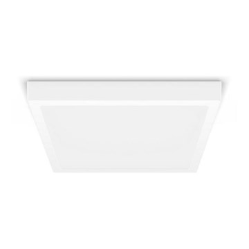 Philips - LED Stropna svetilka LED/20W/230V 2700K bela