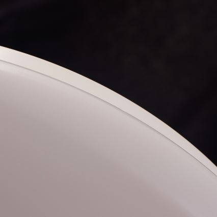 Philips - LED stropna svetilka LED/17W/230V 2700K