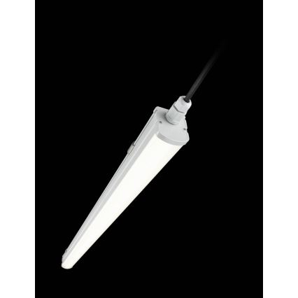 Philips WT060C LED56S/840 PSU TW1 L1500 - LED Tehnična fluorescenčna svetilka LEDINAIRE LED/51W/230V IP65