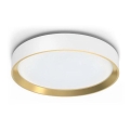 Philips - LED Zatemnitvena stropna svetilka HANNO LED/24W/230V 2700K bela
