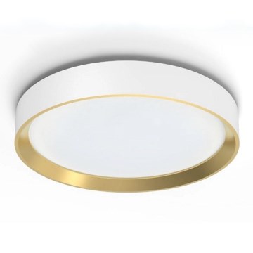 Philips - LED Zatemnitvena stropna svetilka HANNO SCENE SWITCH LED/24W/230V 4000K bela