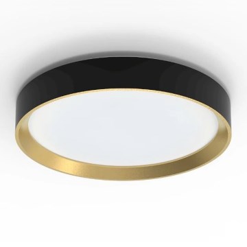 Philips - LED Zatemnitvena stropna svetilka HANNO SCENE SWITCH LED/24W/230V 4000K črna