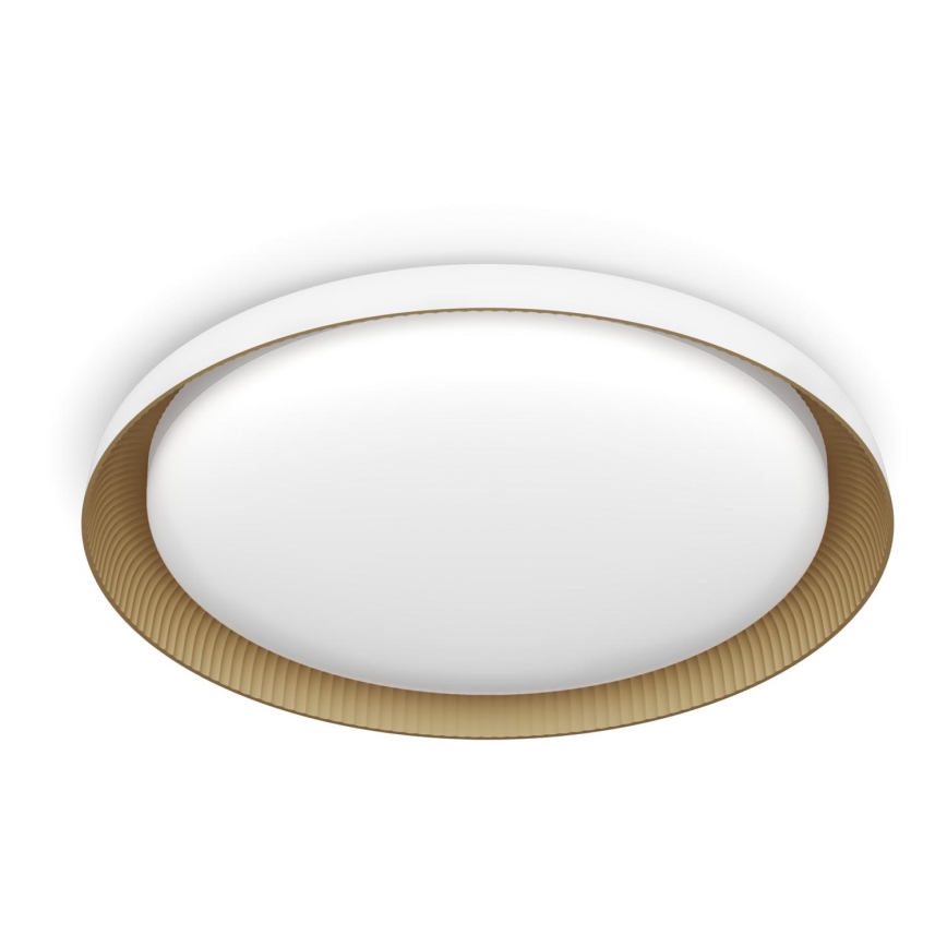 Philips - LED Zatemnitvena stropna svetilka PEBBLO SCENE SWITCH LED/10W/230V 4000K bela