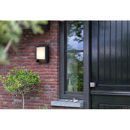 Philips - LED Zunanja stenska svetilka ARBOUR LED/3,8W/230V 2700K IP44