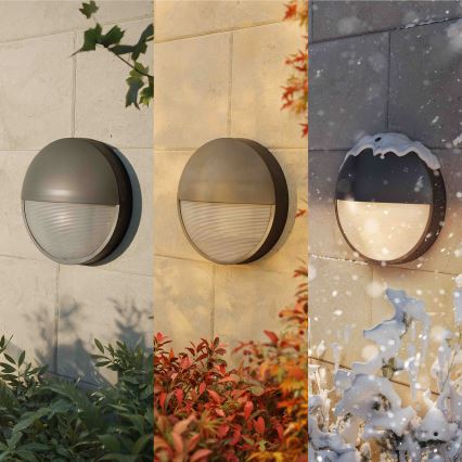 Philips - LED zunanja stenska svetilka CAPRICORN LED/4,3W/230V IP44