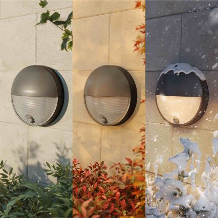 Philips - LED zunanja stenska svetilka s senzorjem CAPRICORN LED/4,3W/230V IP44