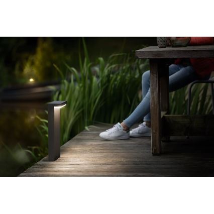 Philips - LED Zunanja svetilka BUSTAN LED/3,8W/230V 2700K 40 cm IP44