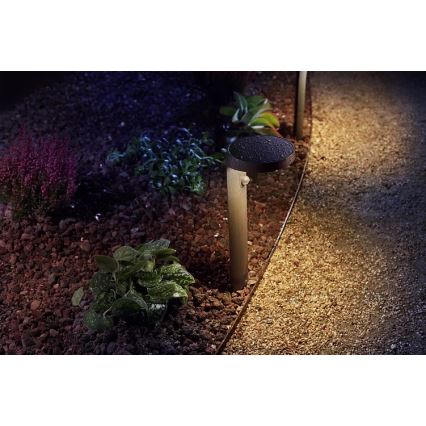 Philips - LED Zunanja svetilka s senzorjem LED/9W/230V 2700K IP44