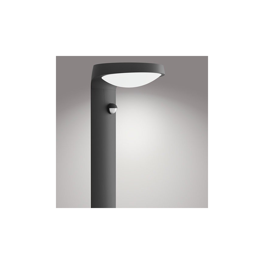 Philips - LED Zunanja svetilka s senzorjem LED/9W/230V 4000K IP44