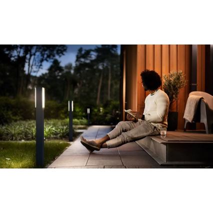 Philips - LED Zunanja svetilka STRATOSPHERE LED/3,8W/230V 77 cm 2700K IP44