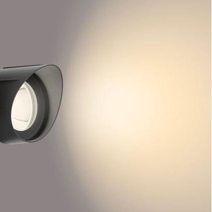Philips - LED Zunanji reflektor LED/6W/12V 2700K IP44