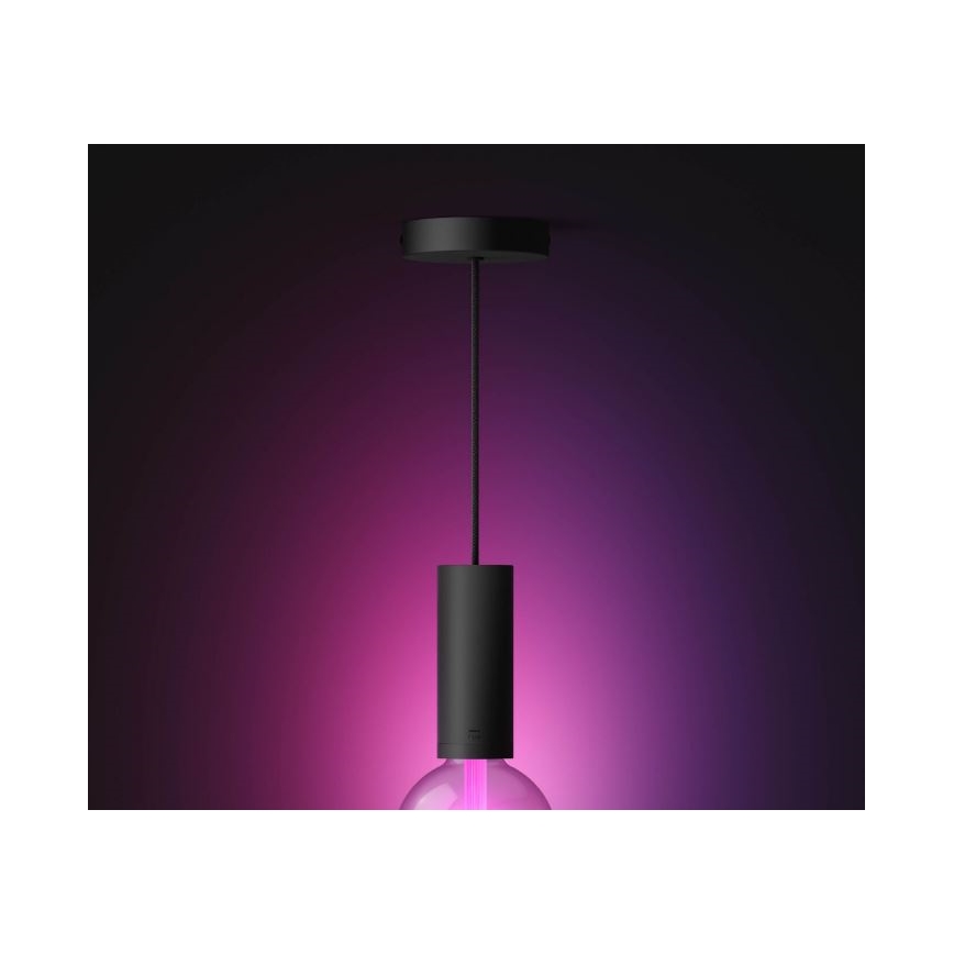 Philips - Lestenec na vrvici Hue GUIDE 1xE27/60W/230V