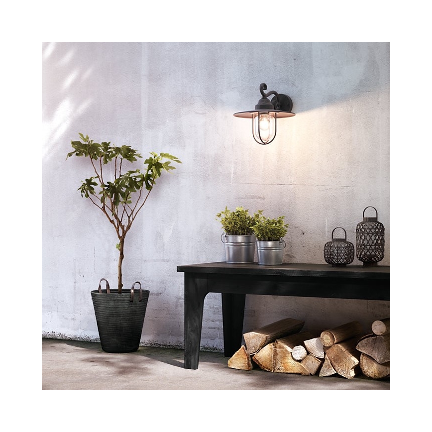 Philips Massive - Zunanja stenska svetilka 1xE27/60W/230V IP44
